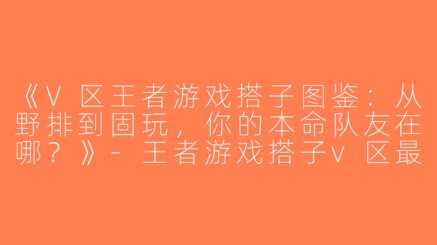 《V区王者游戏搭子图鉴：从野排到固玩，你的本命队友在哪？》-王者游戏搭子v区最近