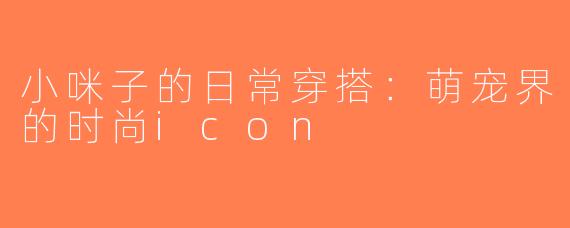 小咪子的日常穿搭：萌宠界的时尚icon