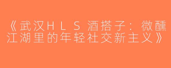 《武汉HLS酒搭子：微醺江湖里的年轻社交新主义》