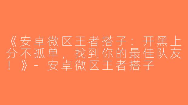 《安卓微区王者搭子：开黑上分不孤单，找到你的最佳队友！》-安卓微区王者搭子