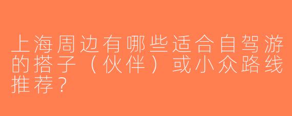 上海周边有哪些适合自驾游的搭子（伙伴）或小众路线推荐？