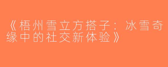《梧州雪立方搭子：冰雪奇缘中的社交新体验》