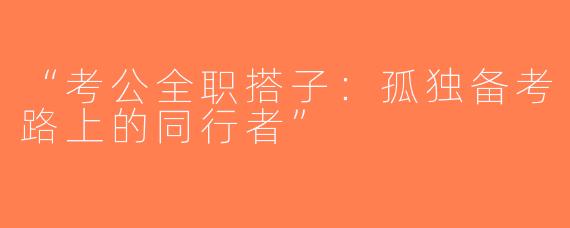 “考公全职搭子：孤独备考路上的同行者”