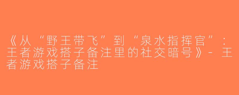 《从“野王带飞”到“泉水指挥官”：王者游戏搭子备注里的社交暗号》-王者游戏搭子备注