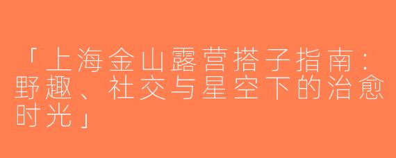 「上海金山露营搭子指南：野趣、社交与星空下的治愈时光」