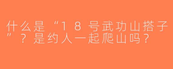 什么是“18号武功山搭子”？是约人一起爬山吗？