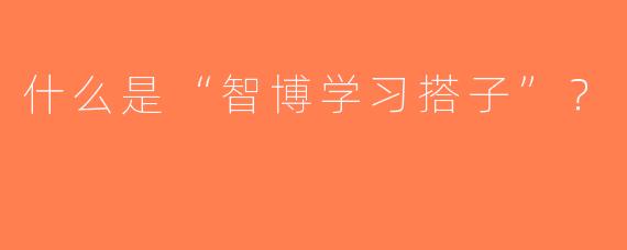 什么是“智博学习搭子”？