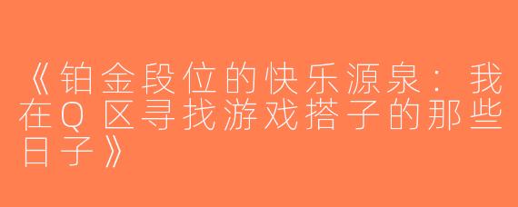 《铂金段位的快乐源泉：我在Q区寻找游戏搭子的那些日子》