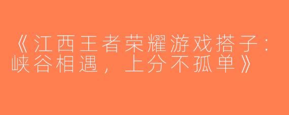《江西王者荣耀游戏搭子：峡谷相遇，上分不孤单》