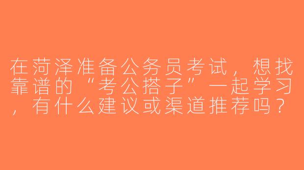 在菏泽准备公务员考试，想找靠谱的“考公搭子”一起学习，有什么建议或渠道推荐吗？-菏泽考公搭子