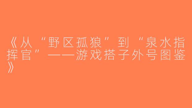 《从“野区孤狼”到“泉水指挥官”——游戏搭子外号图鉴》