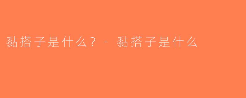 黏搭子是什么？-黏搭子是什么