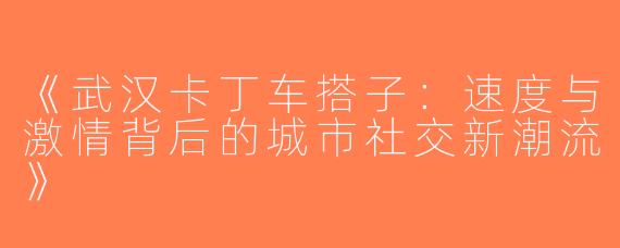 《武汉卡丁车搭子：速度与激情背后的城市社交新潮流》