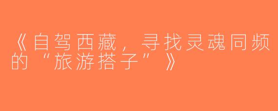 《自驾西藏，寻找灵魂同频的“旅游搭子”》