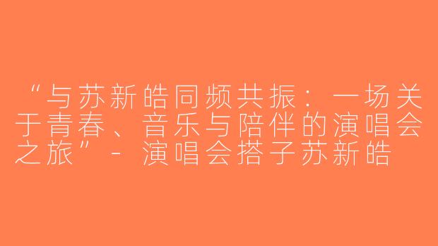 “与苏新皓同频共振：一场关于青春、音乐与陪伴的演唱会之旅”-演唱会搭子苏新皓