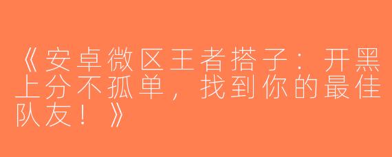《安卓微区王者搭子：开黑上分不孤单，找到你的最佳队友！》