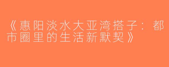 《惠阳淡水大亚湾搭子：都市圈里的生活新默契》