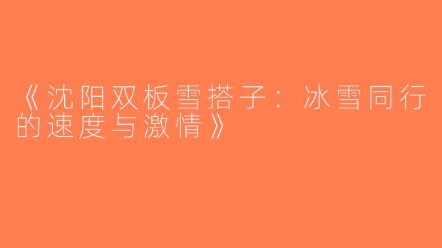《沈阳双板雪搭子：冰雪同行的速度与激情》