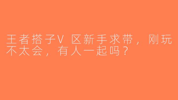 王者搭子V区新手求带，刚玩不太会，有人一起吗？