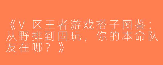 《V区王者游戏搭子图鉴：从野排到固玩，你的本命队友在哪？》
