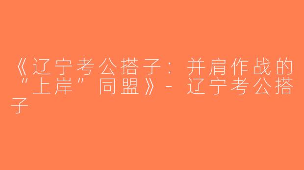 《辽宁考公搭子：并肩作战的“上岸”同盟》-辽宁考公搭子