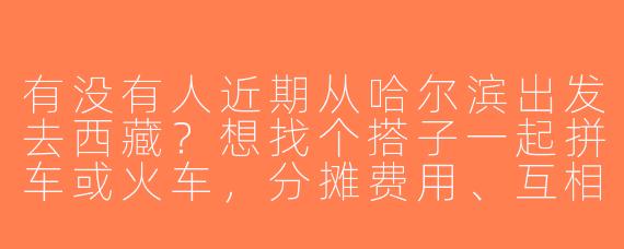 有没有人近期从哈尔滨出发去西藏？想找个搭子一起拼车或火车，分摊费用、互相照应，时间路线可商量！