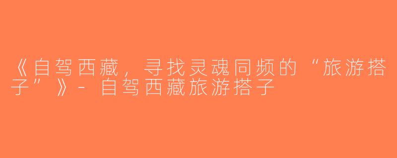 《自驾西藏，寻找灵魂同频的“旅游搭子”》-自驾西藏旅游搭子