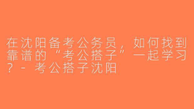 在沈阳备考公务员，如何找到靠谱的“考公搭子”一起学习？-考公搭子沈阳