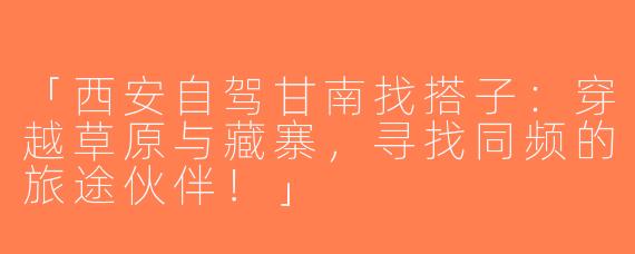 「西安自驾甘南找搭子：穿越草原与藏寨，寻找同频的旅途伙伴！」