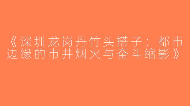 《深圳龙岗丹竹头搭子：都市边缘的市井烟火与奋斗缩影》