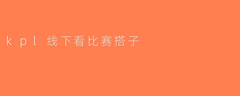 kpl线下看比赛搭子
