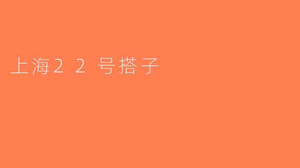 上海22号搭子