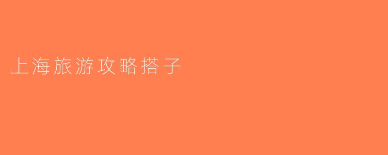 上海旅游攻略搭子