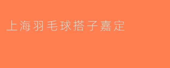 上海羽毛球搭子嘉定