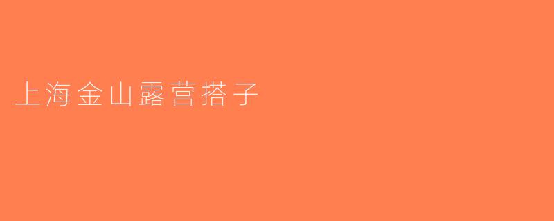 上海金山露营搭子
