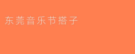 东莞音乐节搭子