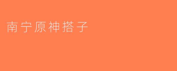 南宁原神搭子