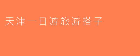 天津一日游旅游搭子