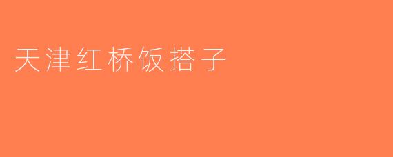 天津红桥饭搭子