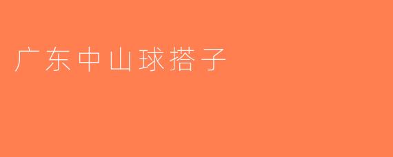 广东中山球搭子