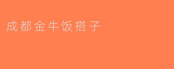 成都金牛饭搭子