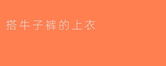搭牛子裤的上衣