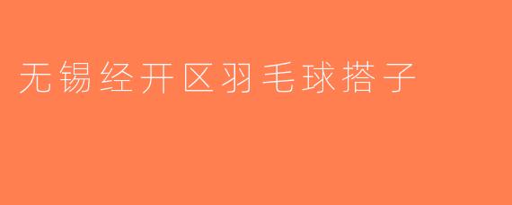 无锡经开区羽毛球搭子