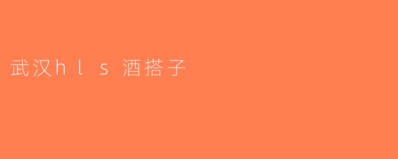 武汉hls酒搭子