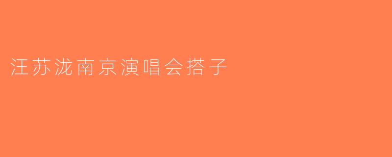 汪苏泷南京演唱会搭子