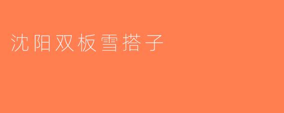沈阳双板雪搭子