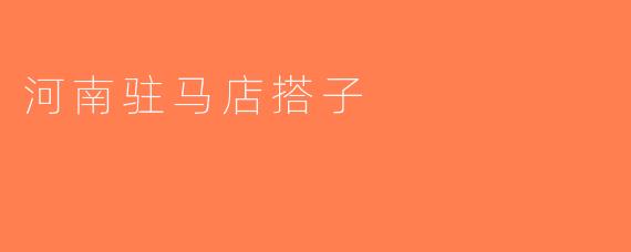 河南驻马店搭子