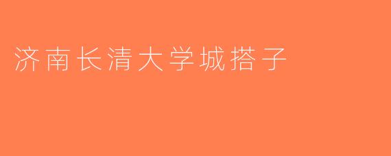 济南长清大学城搭子