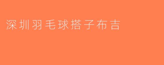 深圳羽毛球搭子布吉