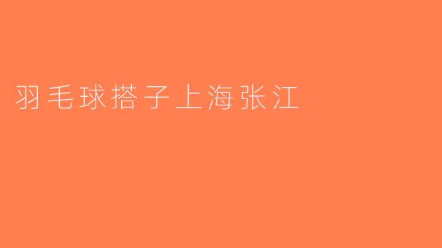 羽毛球搭子上海张江